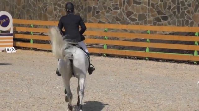 Конный спорт: конкур видео смотреть онлайн