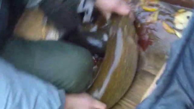 щука с Лепельского озера.3gp смотреть онлайн