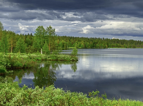 Подмосковье. Поездка на дачу через Троицк смотреть онлайн