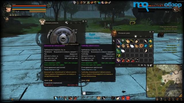 Обзор игры Dragon's Prophet