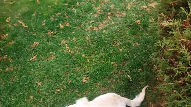 Скрытая камера