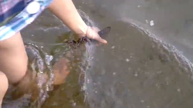 Красноперка! смотреть онлайн