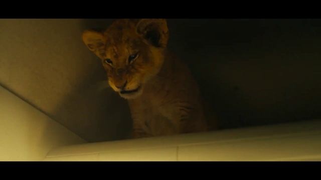 Король-львенок смотреть онлайн