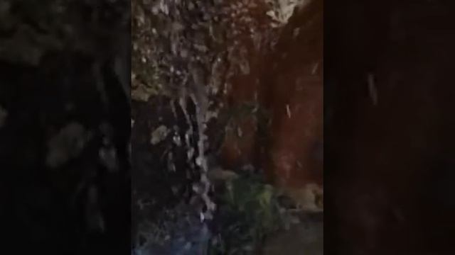 Пророки и поэты.Стихи.Эстэр. смотреть онлайн