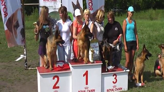 Вице, SG2 Умма ф. Хаус Шлоссер @ награждение класса молодых сук, 24/05/2014, Тула смотреть онлайн