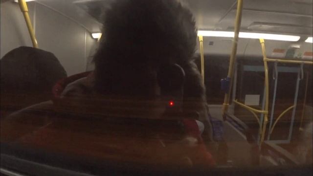 275) Поездка в Кронштадт на автобусе. Полностью счастливый Покатушкин. смотреть онлайн