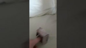 как сделать стиральную машину из картона