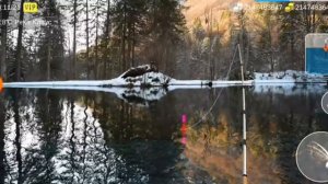 Как поймать обыкновенного лопотаноса в игре My fishing World