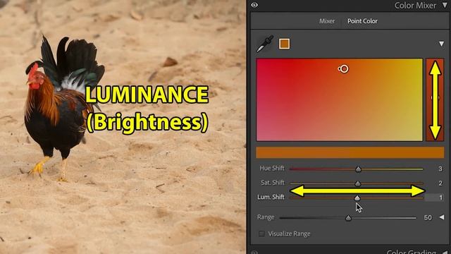 Lightroom Classic 13 /2024 Is Here. All New Features