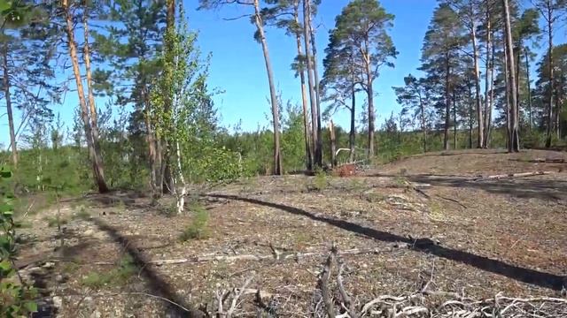 Осторожно! Очень много рыбы! ТАЙГА 2020 смотреть онлайн