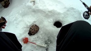 Рыбалка в Пензенской области  Река Сура.  Супер рыбалка за 3 часа.