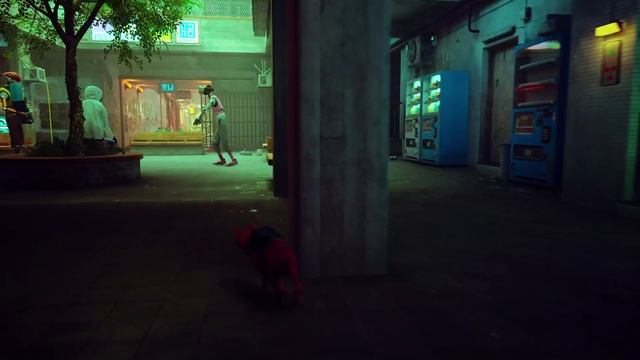 Stray #6 Коть ворует вещи