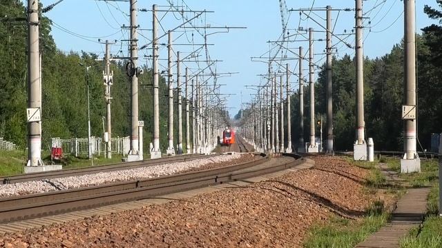 Сдвоенная Ласточка ЭС2Г-023/026 сообщением Санкт-Петербург — Выборг летит через о.п. Ушково смотреть онлайн