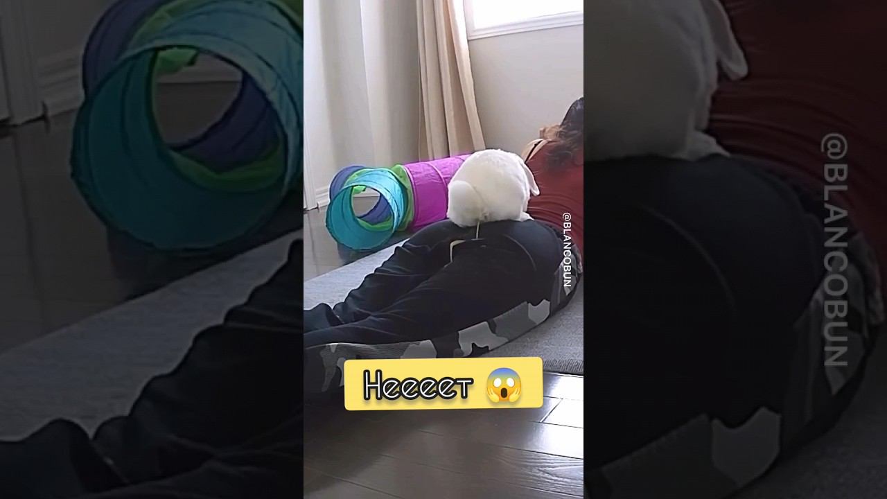 Пометил своего человека смотреть онлайн