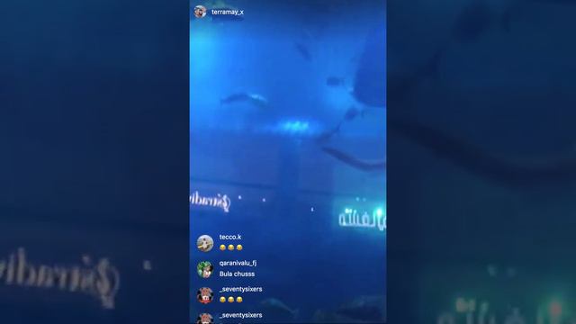 Fiji 7s boys live in Dubai (Dec 2019) смотреть онлайн