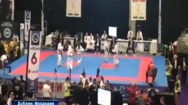 Чемпионы по тхэквондо смотреть онлайн