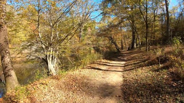 A Forest Prayer Walk | Finding My Secret Place смотреть онлайн