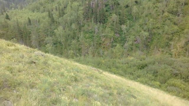 Горный Алтай 670 км от Новосибирска смотреть онлайн