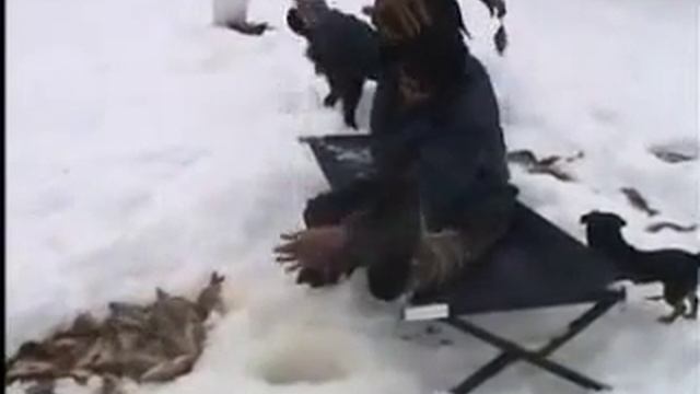 Рыбалка на озере(3 протоки) смотреть онлайн