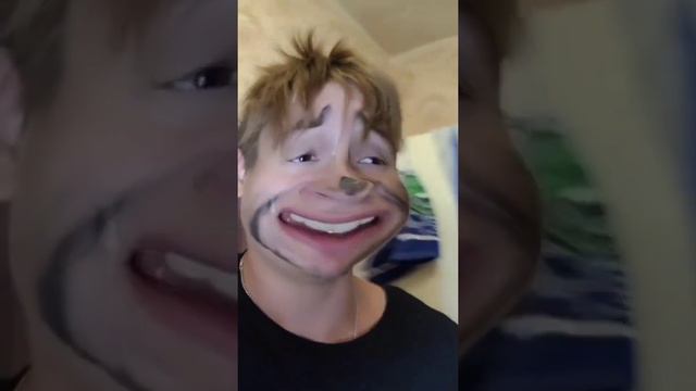 это не просьба, и другие вайны