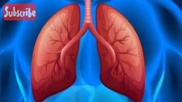 दोबारा टीबी रोकने के लिए 2 उपाय | 2 TIPS to Prevent TB Relapse | смотреть онлайн