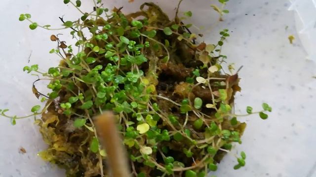 Вывод эксперимента! смотреть онлайн