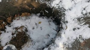 Minelab X-Terra Pro - Тест на чешуйку #металлоискатель #металошукач #minelab #xterrapro