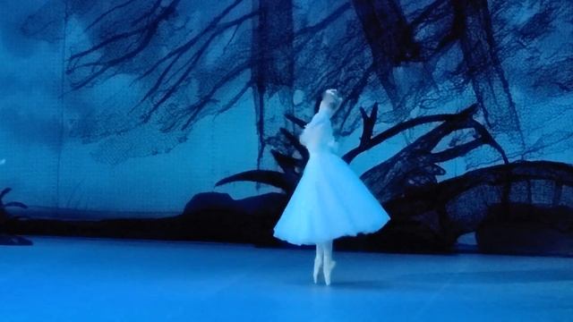 Polina Netsvetaeva-Dolgalyova (debut) in ballet Giselle смотреть онлайн