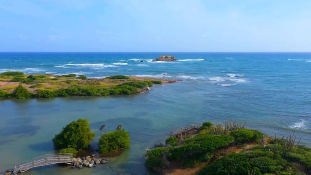 Начните свой день с успокаивающих фортепианных мелодий: утреннее пение птиц, расслабляющая смотреть онлайн