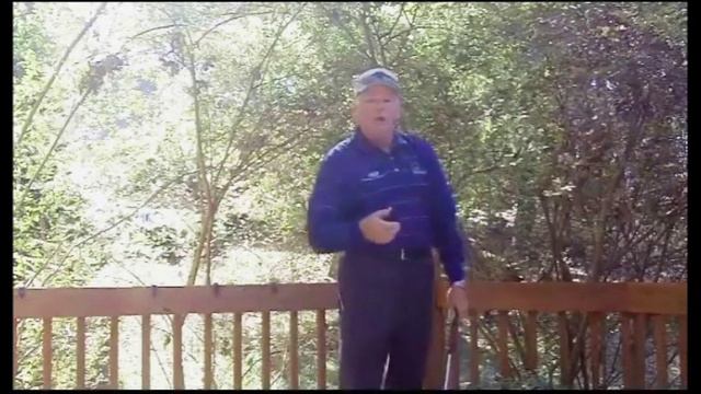 The Zorro Swing смотреть онлайн