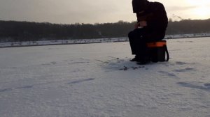 РАЗДАЧА ОКУНЯ НА ОКЕ. Зимняя рыбалка на мормышку на Оке. Рыбалка на Оке зимой 2020.