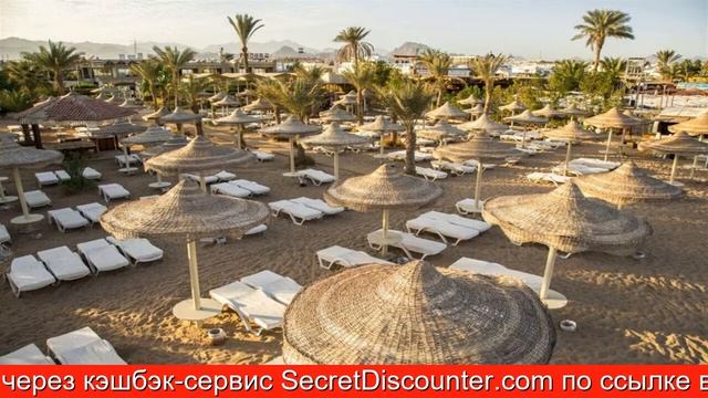 Обзор отеля Cataract Resort Naama Bay Шарм-эль-Шейх