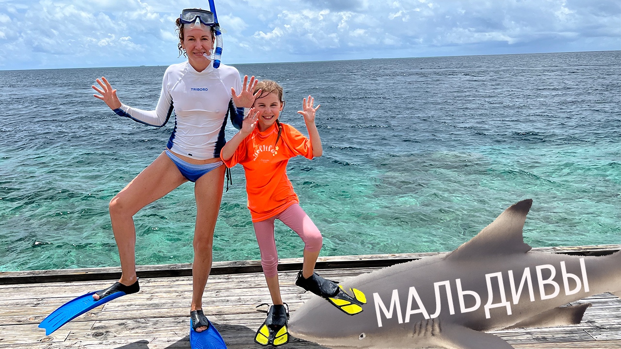 Встреча с акулой / Снорклинг на Мальдивах смотреть онлайн