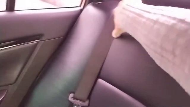 Emgrand EC 7, 1.8 объем 2012 года смотреть онлайн