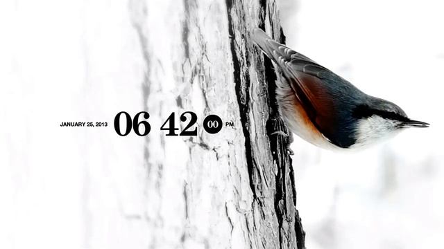 Bird Life Screensaver