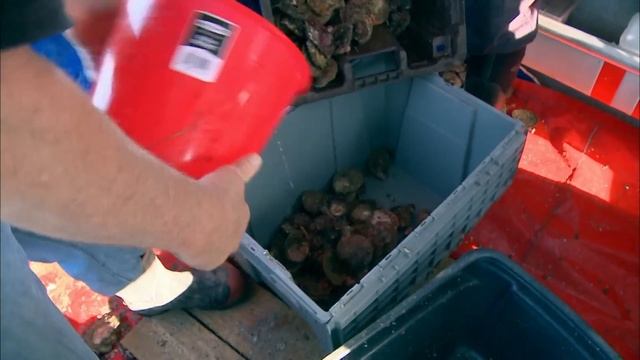 Three Men's Fishy Lies Exposed - Season 7 Episode 3 (OFFICIAL UPLOAD) смотреть онлайн