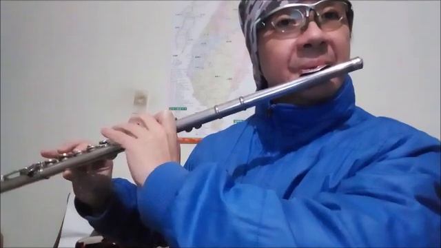 詹雅雯-阿母的手-長笛Flute練習02(cover-by 任閒騎miraclemaryboy)降A調 смотреть онлайн