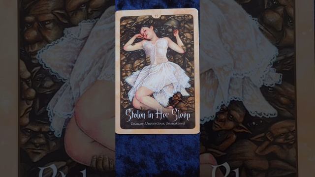 Stolen in Her Sleep ? Wild Wisdom of the Faery Oracle card meaning смотреть онлайн