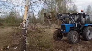 новый корчеватель. мтз-82 валит лес