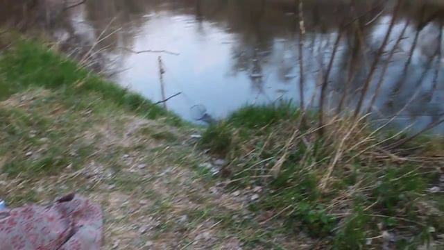 о.п. Лесная. Пасха 2011 г. Река Северский Донец смотреть онлайн