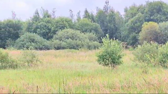 зу Мостки :550 смотреть онлайн