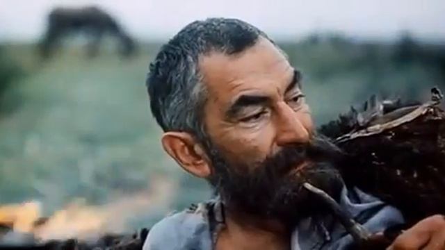 Хорошо быть дураком. Мудрец во всем сомневается. Mosfilm Зобар и Чудра смотреть онлайн