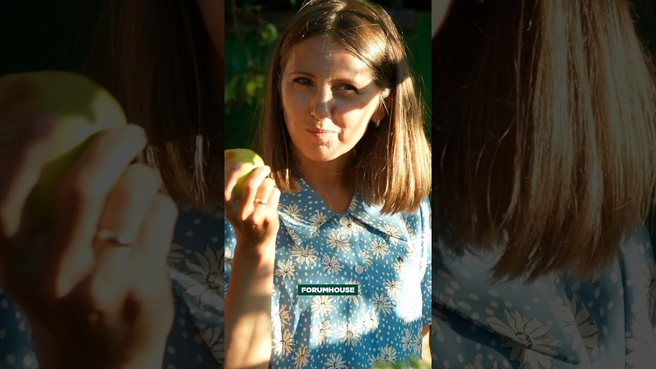 Создала шикарную дачу своими руками смотреть онлайн