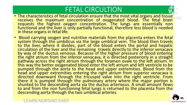 Child Health Nursing (Pediatric) case Study on Patent Ductus Arteriosus(PDA)/Congenital Heart Defec смотреть онлайн
