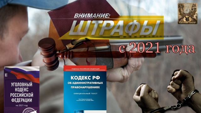 Штрафы и наказания за незаконную охоту с 2021 года. смотреть онлайн