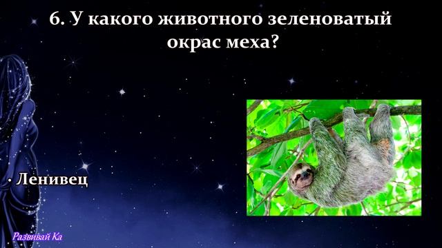 Сложный Тест на эрудицию и общие знания смотреть онлайн