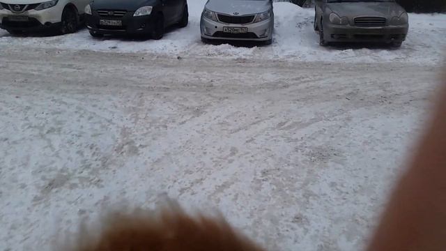 Налоговая молодцы позв.--написать заявление на маг. Градусы. Градусам штраф-учите упырей 29.12.21 смотреть онлайн