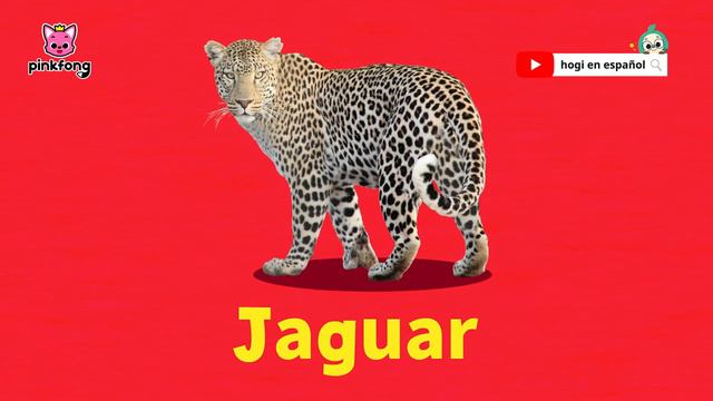 Las Mejores Canciones de Animales de la Granja | Especial de Navidad | Pinkfong Canciones Infantile смотреть онлайн