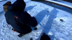 Ловля Форели на Икру | Рыбалка в Глухозимье | Крупная Форель