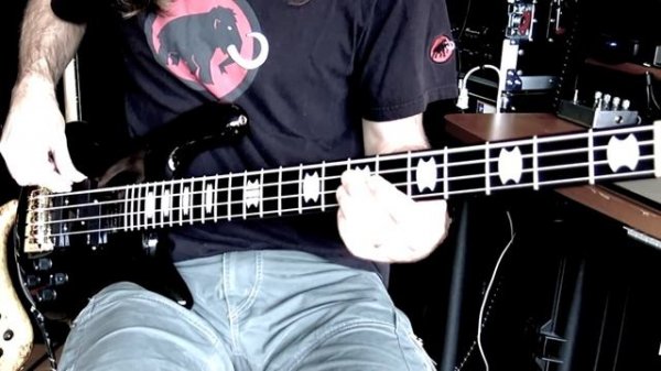 Spector Bass Tone Comparison II